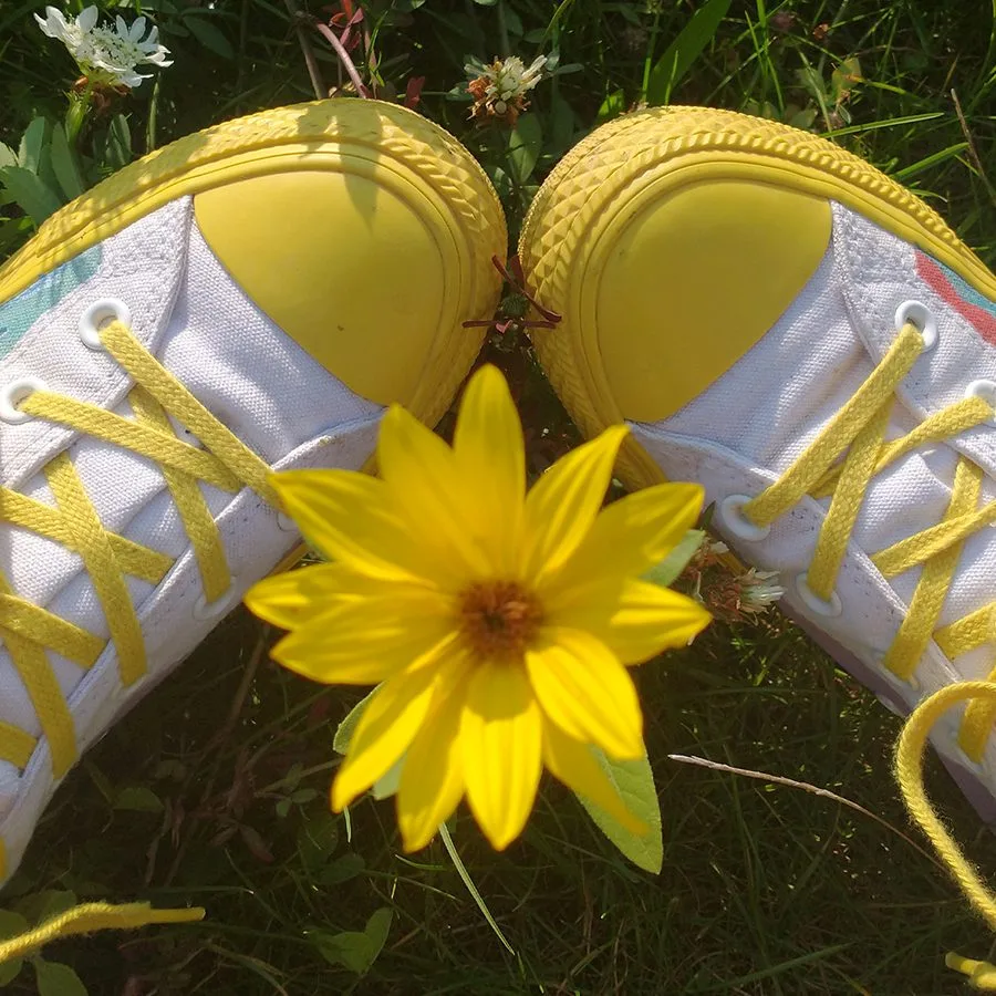 meadow1