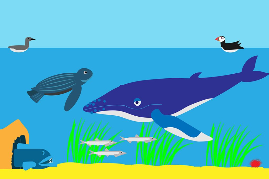 WorldOceansDay new1