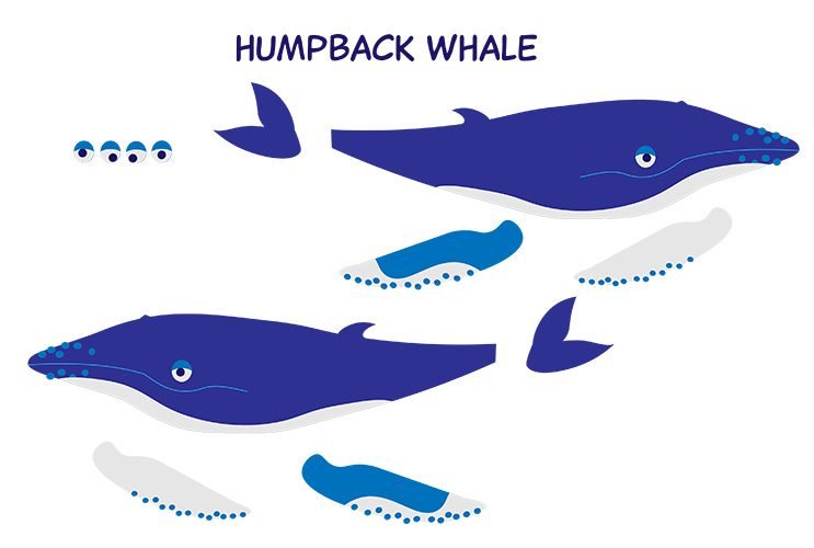 WorldOceansDay-HumpbackWhale-mugaska-joanna-mugford