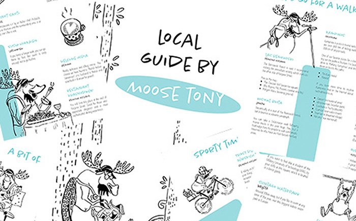 graphic brochure design